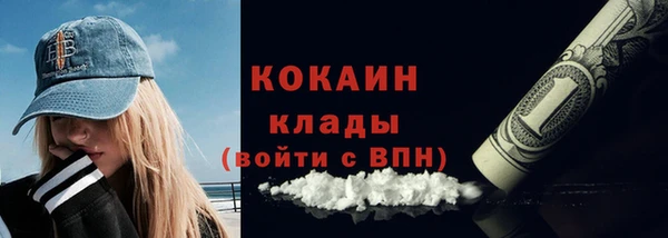 гашик Арсеньев