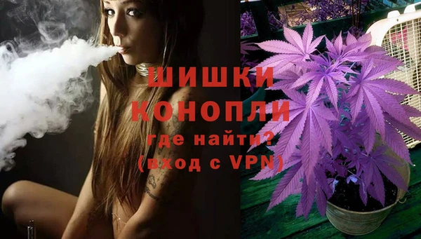 гашик Арсеньев