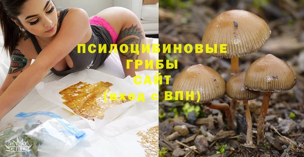 ALPHA PVP Аркадак